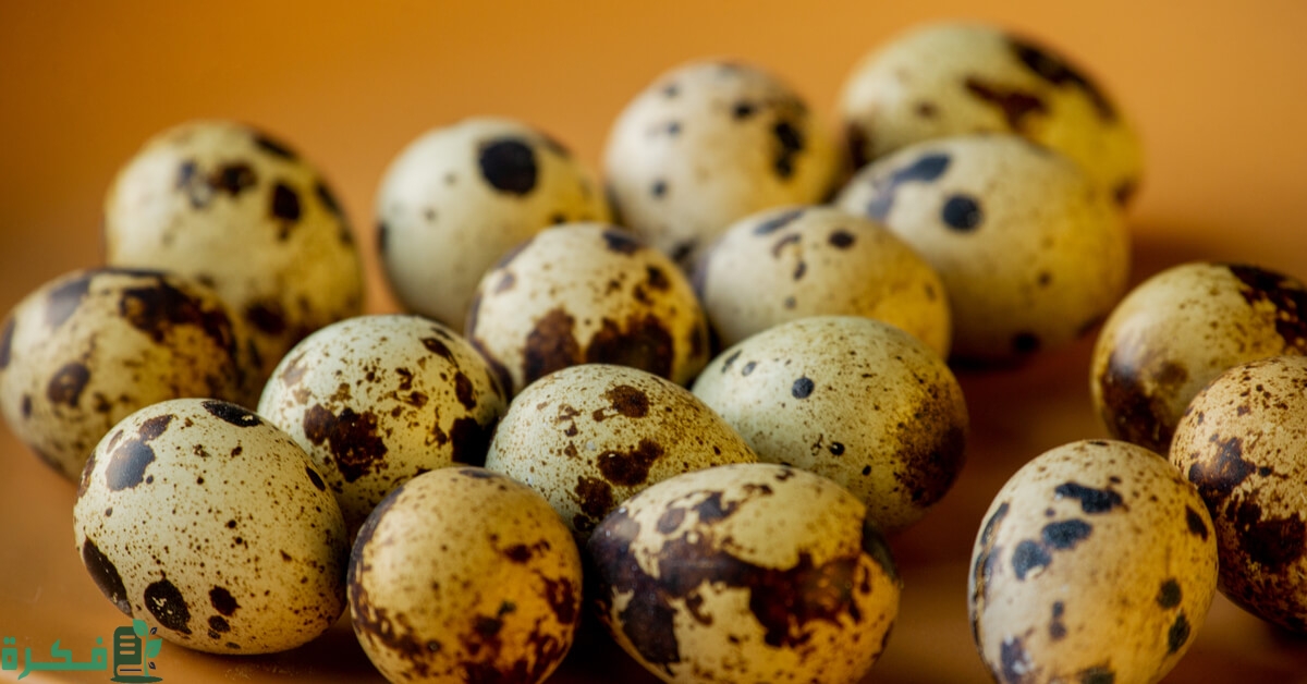 فوائد بيض السمان للرجال فوائد بيض السمان للرجال