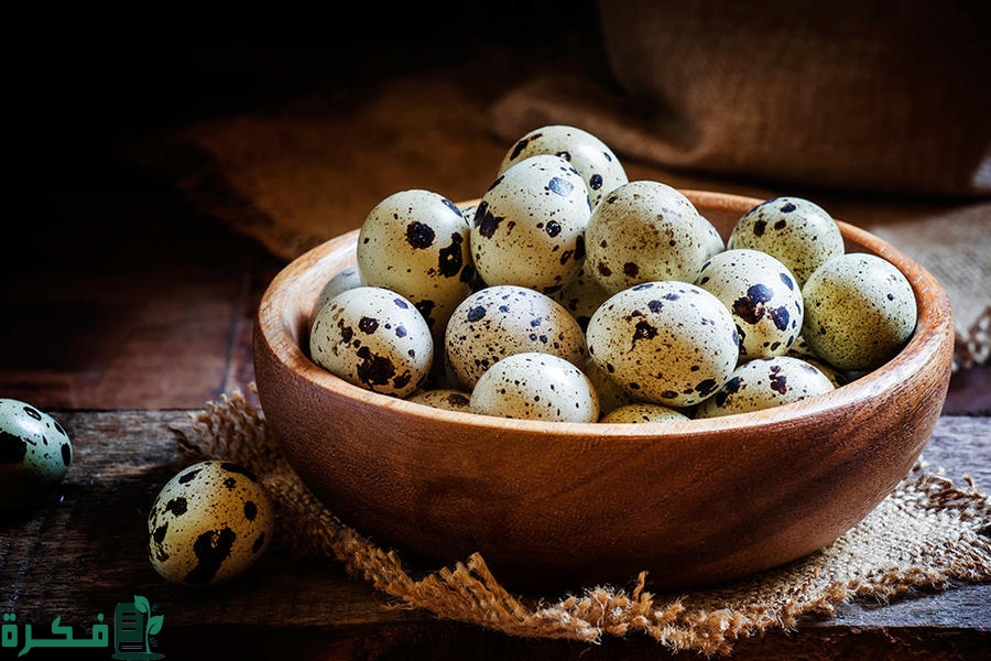 فوائد بيض السمان للرجال; 25 فائدة تعرف عليها