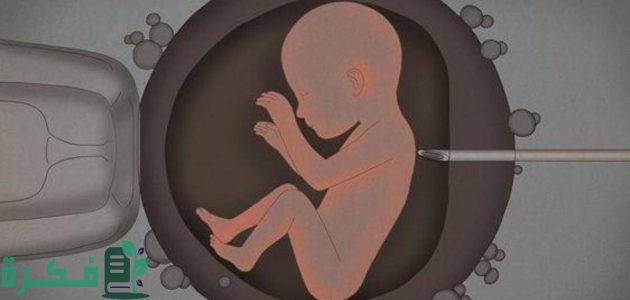 معرفة نوع الجنين من اخر دورة