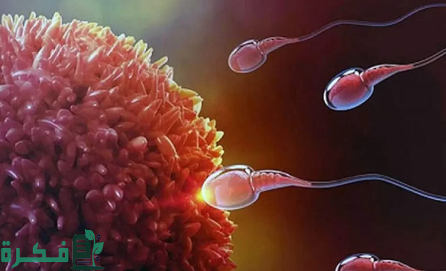 كيف تكون رائحة دم انغراس البويضة؟ كيف تكون رائحة دم انغراس البويضة؟