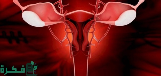 ما سبب نزول إفرازات مخاطية أثناء الحمل في الشهر الثالث؟ ما سبب نزول إفرازات مخاطية أثناء الحمل في الشهر الثالث؟