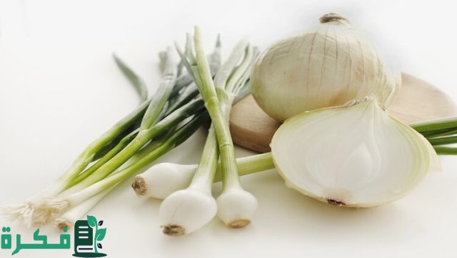 هل البصل مسموح في الكيتو هل البصل مسموح في الكيتو