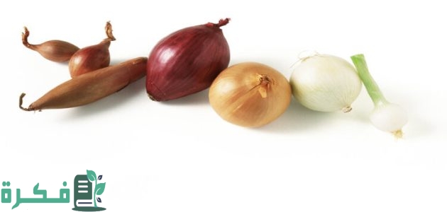 هل البصل مسموح في الكيتو