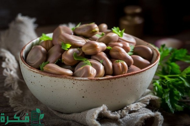 هل الفول مسموح في الكيتو هل الفول مسموح في الكيتو