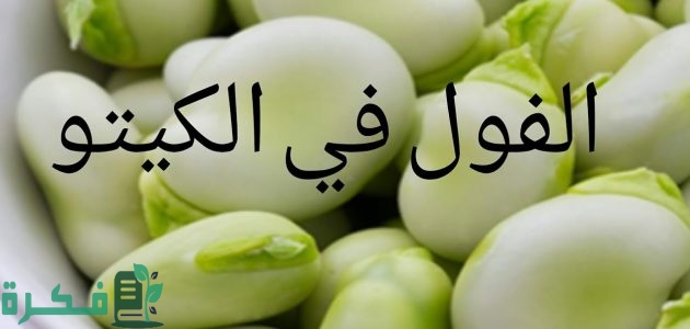 هل الفول مسموح في الكيتو