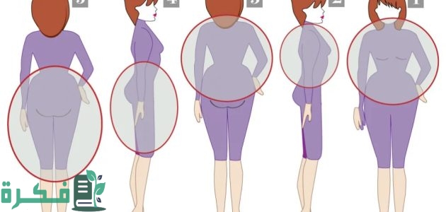 ترتيب المناطق في نزول الوزن عند النساء